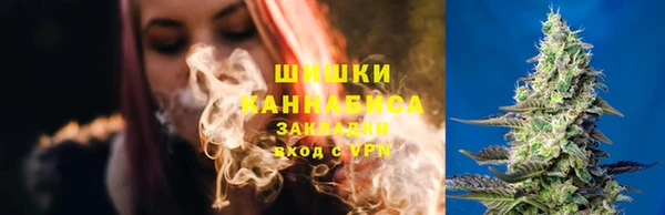 Альфа ПВП Арсеньев