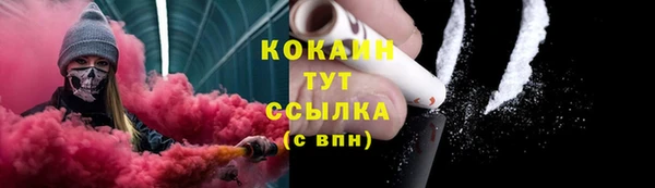 бошки Аркадак