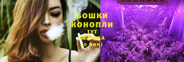 бошки Аркадак