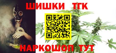 СК Дубна