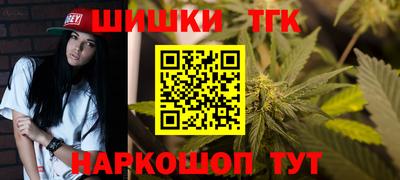СК Дубна