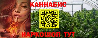 СК Дубна