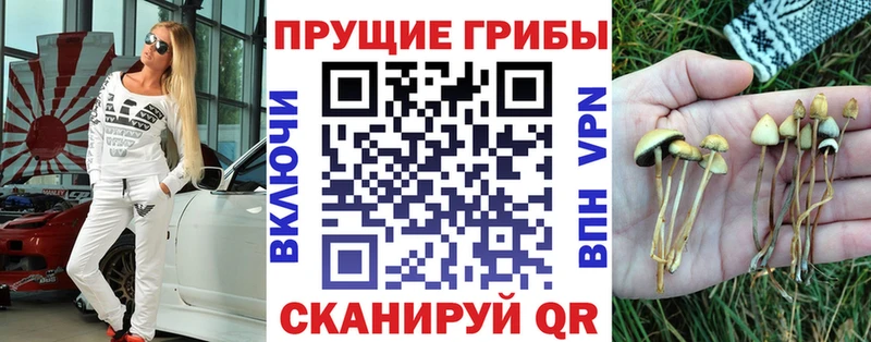 Псилоцибиновые грибы Cubensis хочу Мирный