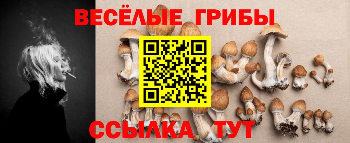 Псилоцибиновые грибы Magic Shrooms Мирный