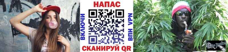 Канабис планчик  сколько стоит  Мирный 